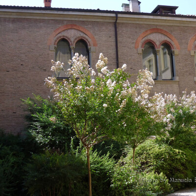 ex convento di San Francesco