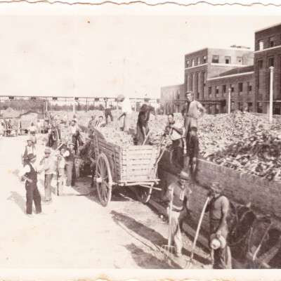 1935-Distilleria Mirandola zuccherificio gent.conc.Lorenzo Barbi