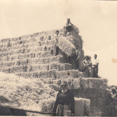 1950-Quarantoli Via Argine Nuovo cavaion gent.conc.GiorgioMorselli