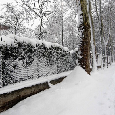 Mirandola - Nevicata del 2010 - 12