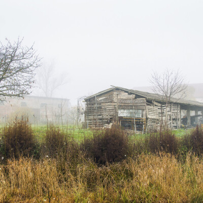 Nebbia in Valle 5