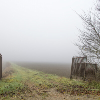 Nebbia in Valle 4