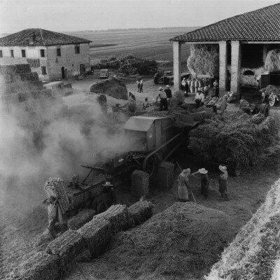 Tenuta Reggiani Albertino anni 40-50