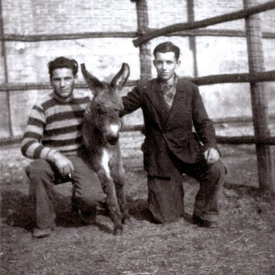 San Martino Spino Centro Allevamento Quadrupedi 1944 Giuseppe Greco e Luciano Ceresola