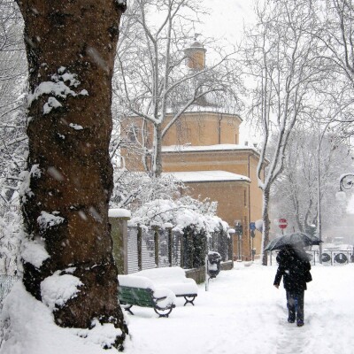 Mirandola - Nevicata del 2010 - 15