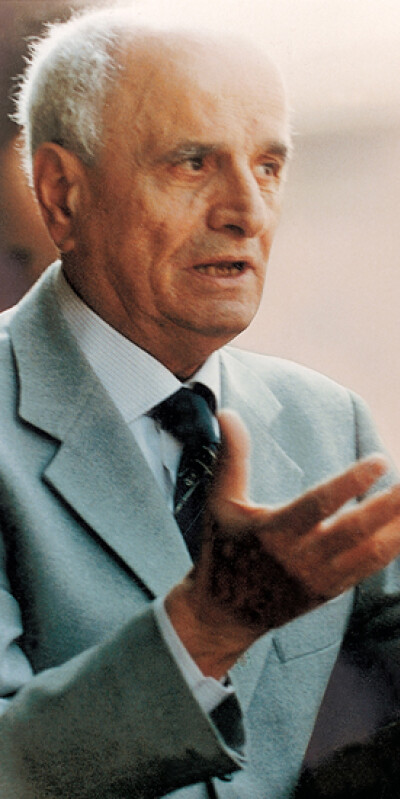 Professor Smerieri