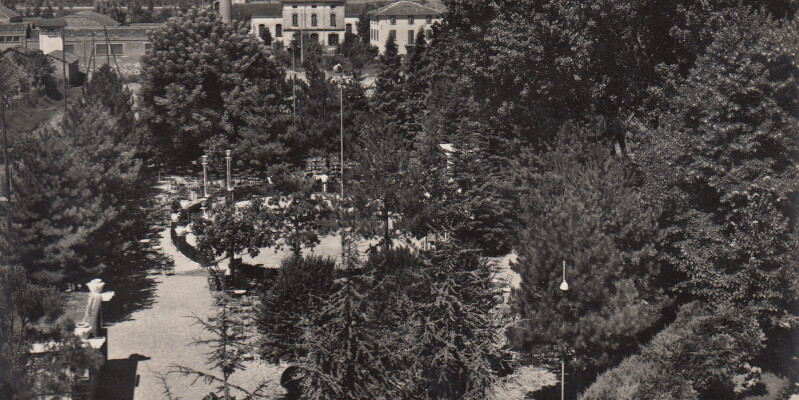 1955-Mirandola-Cicipidi gent.conc.Glaugo Meschieri
