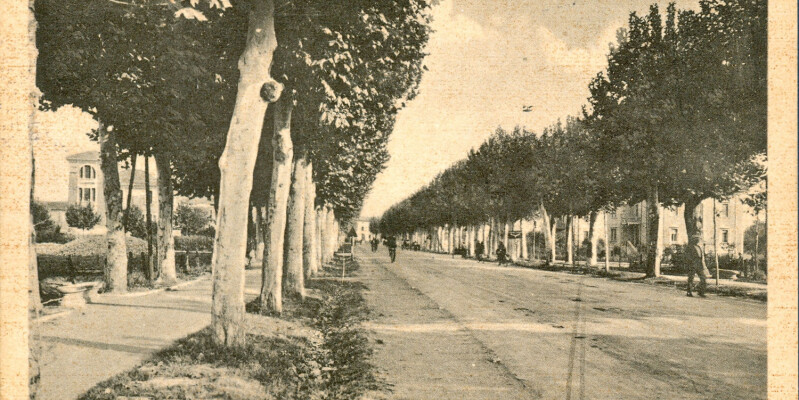 Viali